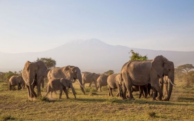 KENIA Y TANZANIA CON ZANZIBAR