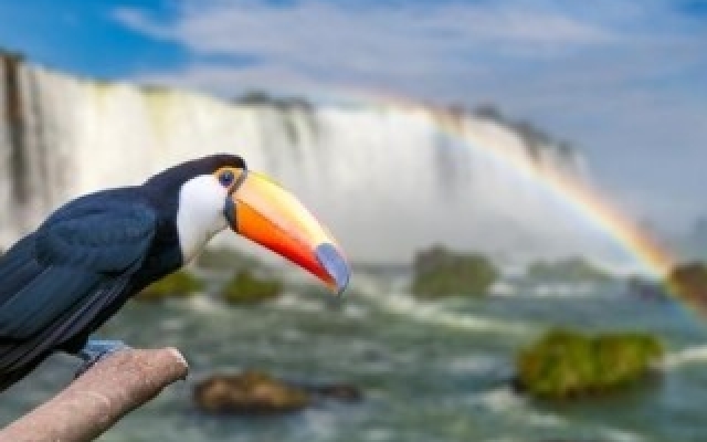 CATARATAS DEL IGUAZÚ